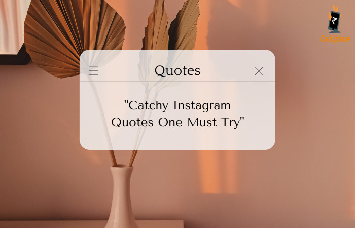 Create an Instagram Profile that Stands Out with These Catchy Quotes